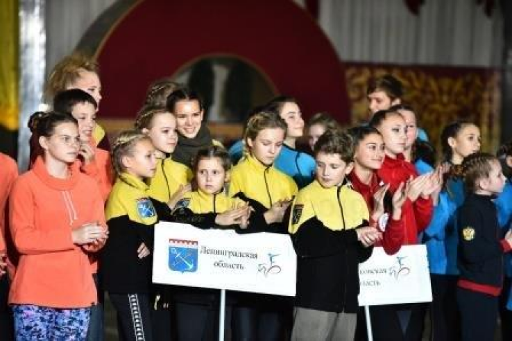 Всероссийские соревнования по вольтижировке
