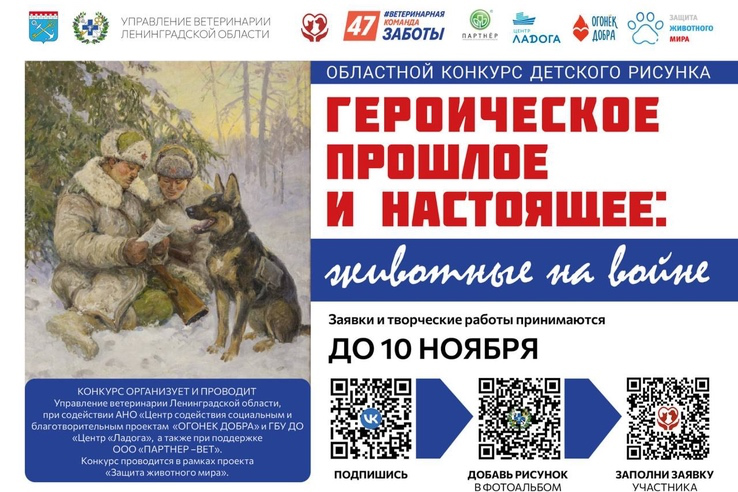 Ленинградских школьников приглашают принять участие в конкурсе рисунка «Героическое прошлое и настоящее: животные на войне»