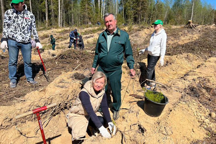 Ленинградская область участвует во Всероссийском дне посадки леса