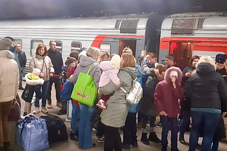 20 детей-сирот из ЛНР прибыли в Ленинградскую область